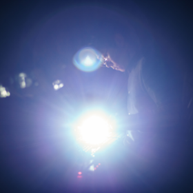 映画監督 牧野貴